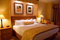 apertura bed and breakfast roma